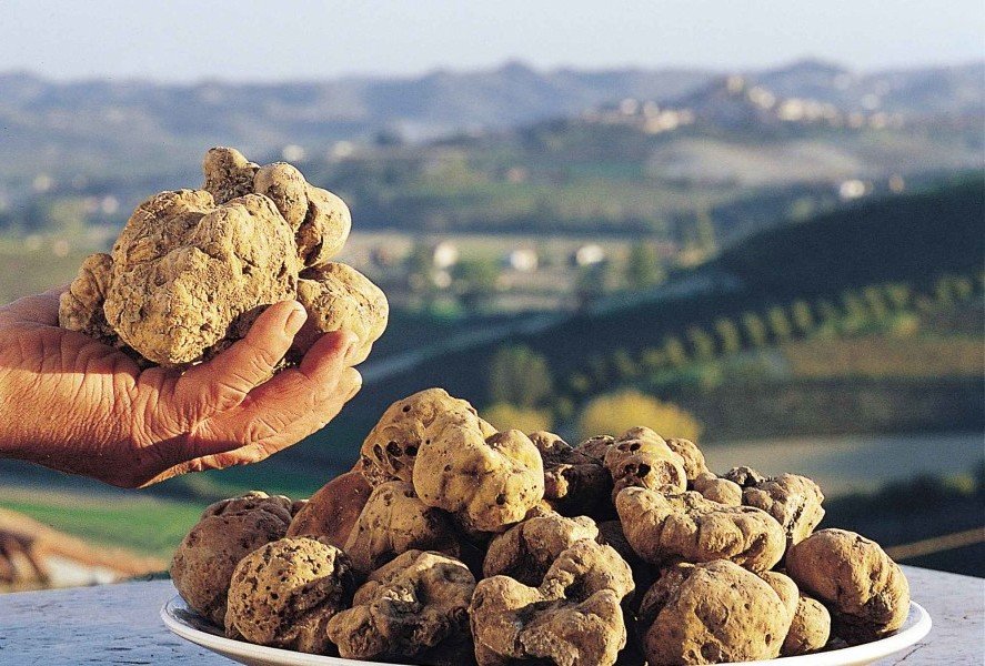 Il Tartufo Bianco di Alba arriva nei Coktail