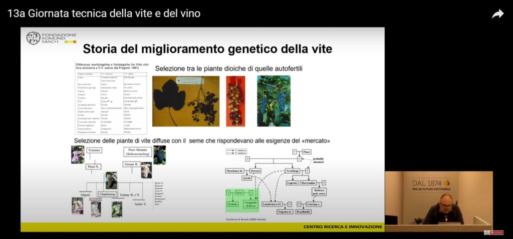 Giornata della vite e del vino