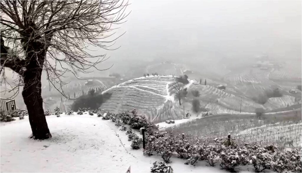 Sotto la Neve pane e Vino