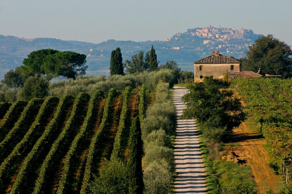 Montepulciano Amore Mio