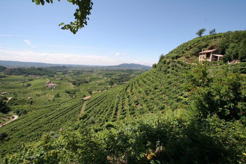 Gran Premio Internazionale Mundus Vini