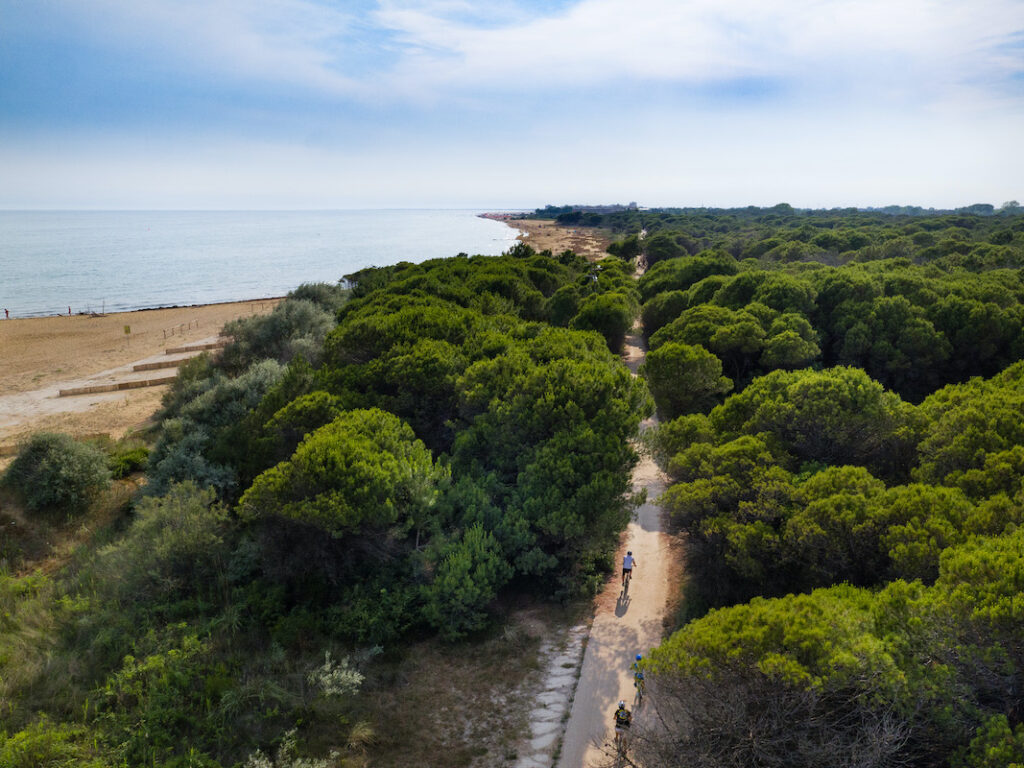 Primi con modalità “Bike” di Google Maps