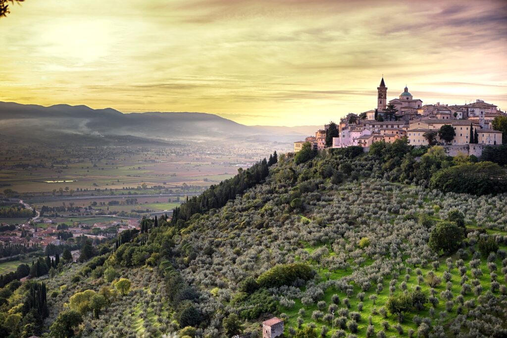 L’oleoturismo di qualità  in Umbria