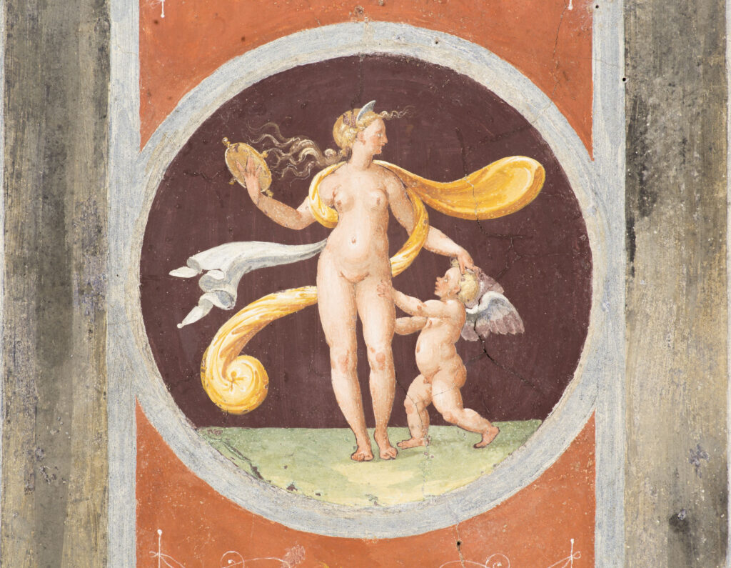Il Mito di Venere