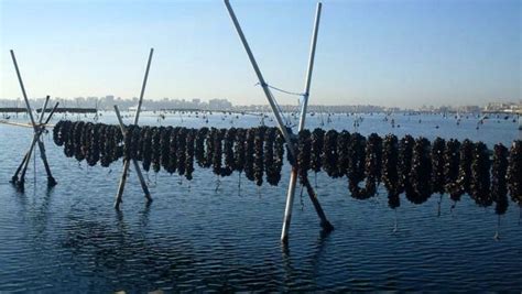 Giornata nazionale del mare