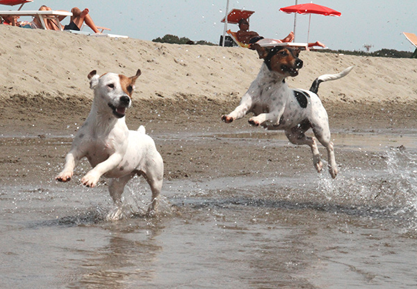 Sabato 15 maggio riapre  Baubeach®