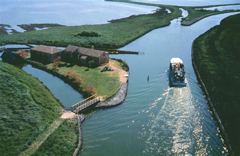 Delta del Po Paradiso per Birdwatching