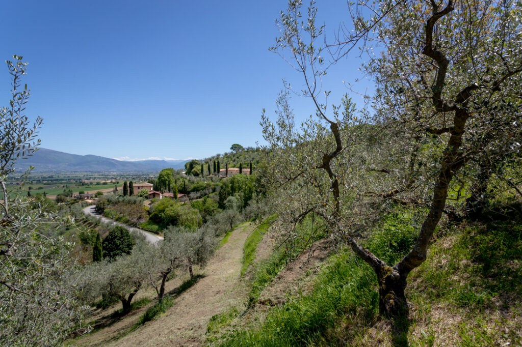 “I Tuoi Cammini” in Umbria