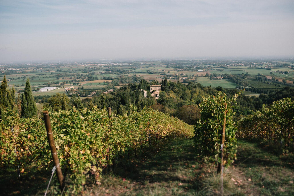 Appuntamenti tra le vigne