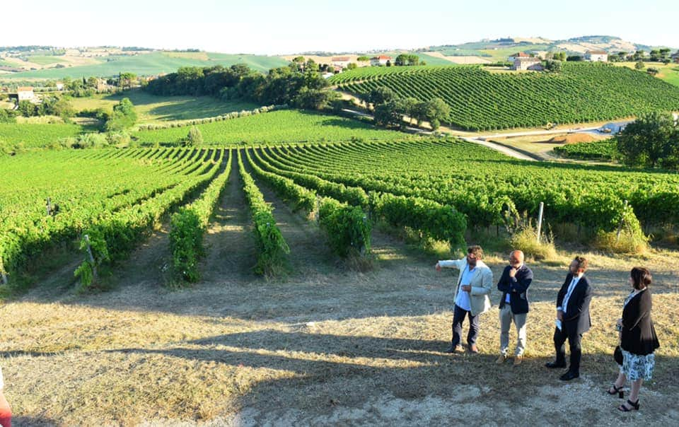 A Enosophia con il Grand Tour delle Marche