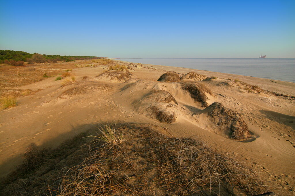 Delta del Po tra mare e natura