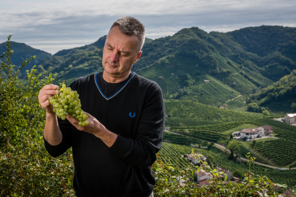 Ottime aspettative dalla vendemmia di Col vetoraz