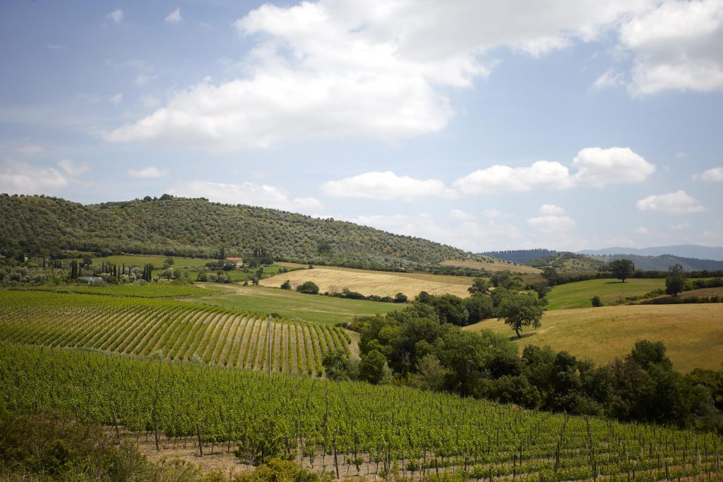 Montecucco un modello di sostenibilità in Toscana