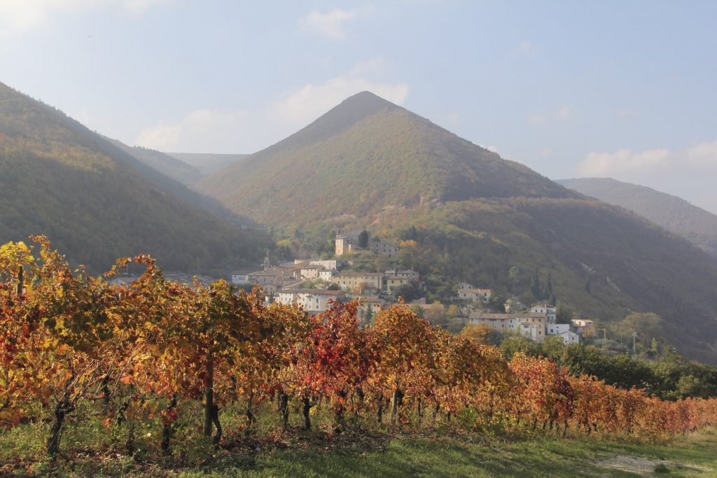 Serrapetrona celebra la Vernaccia Nera