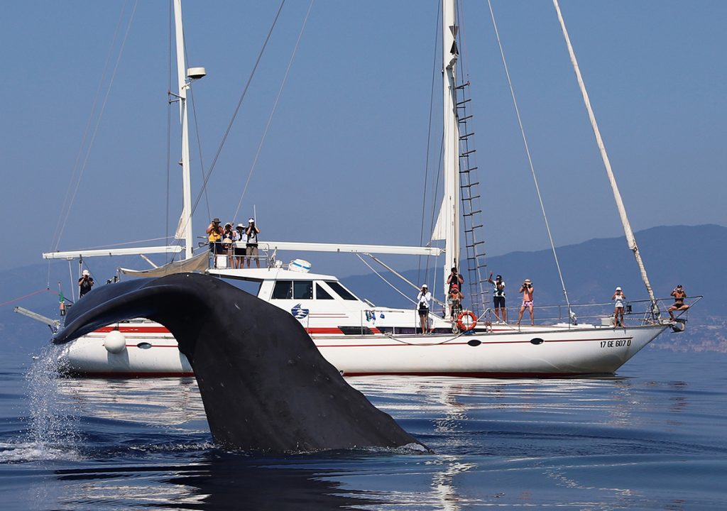 Sanremo oltre il Festival, Convegno sul paesaggio costiero e mobilità sostenibile nel Ponente ligure