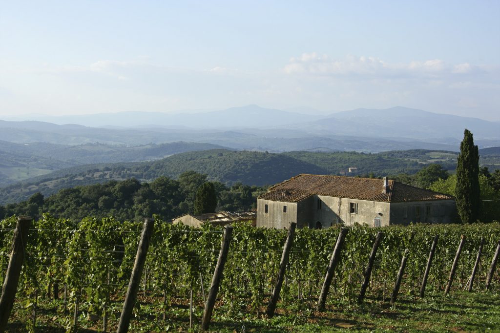 Per Forbes il Montecucco tra i migliori vini da bere nel 2022