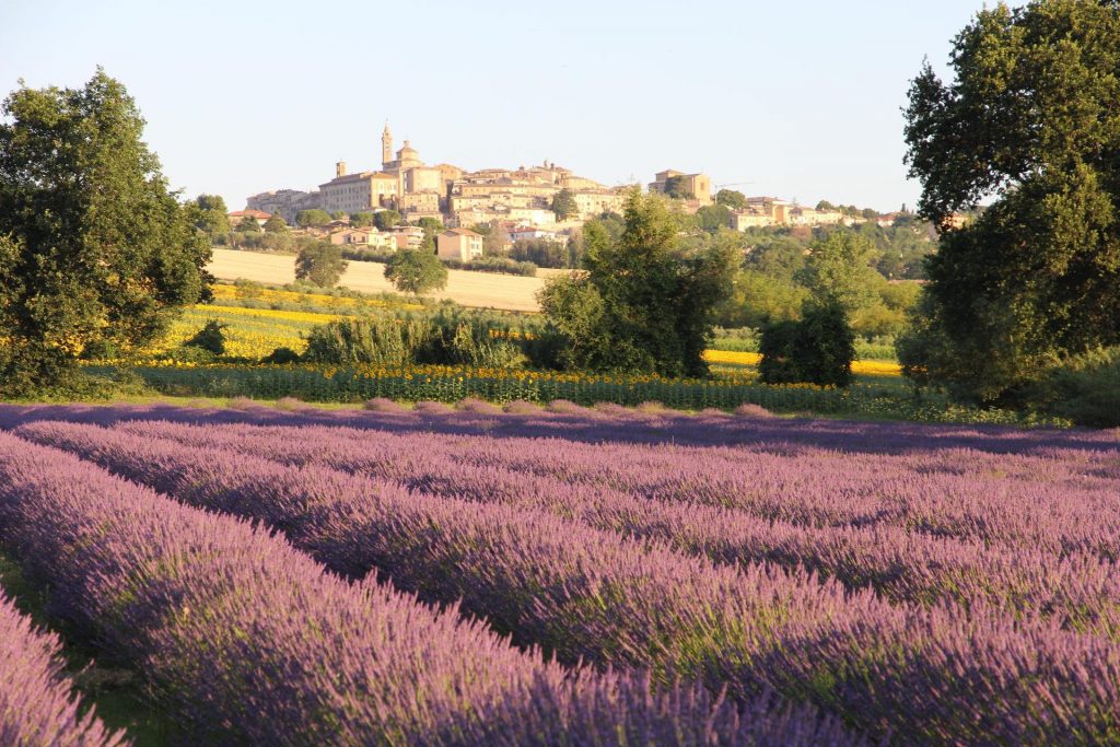 Nasce Val Mivola nuovo soggetto turistico in provincia di Ancona