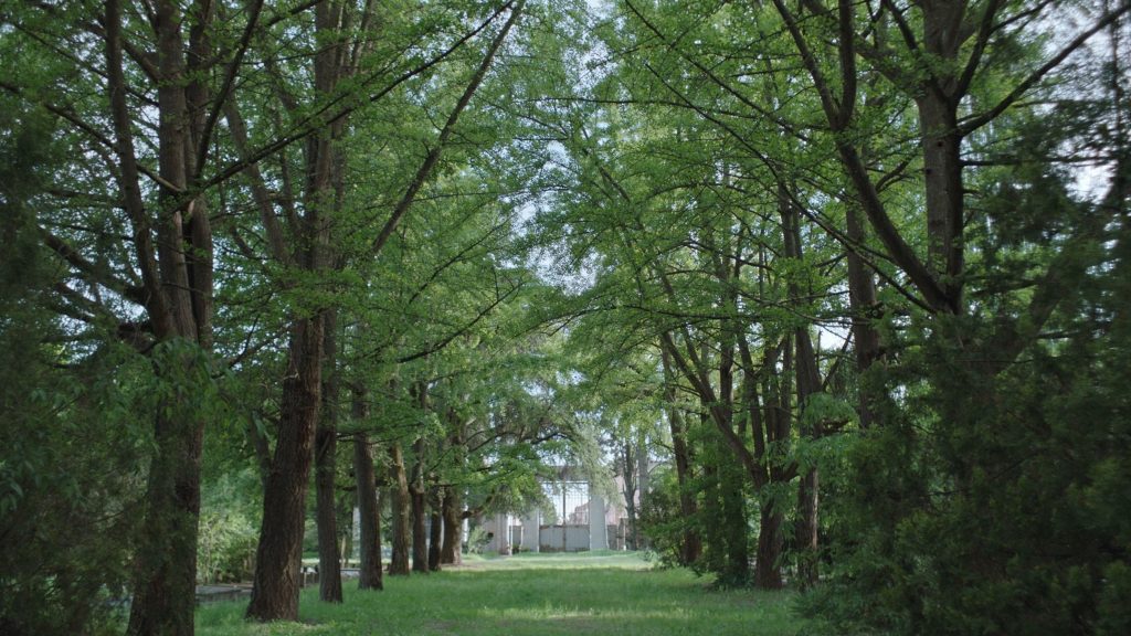 A Ferrara Il Giardino che non c’è