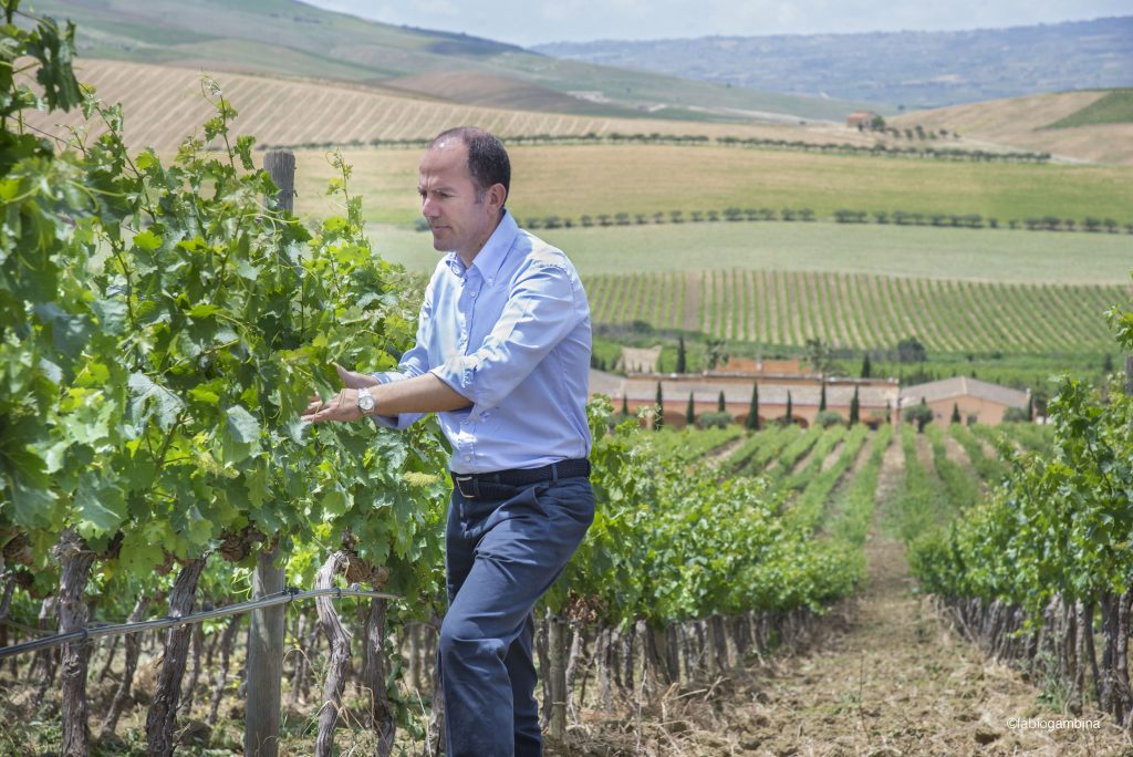 Convegno a Palermo sulla sostenibilità nel settore del Vino