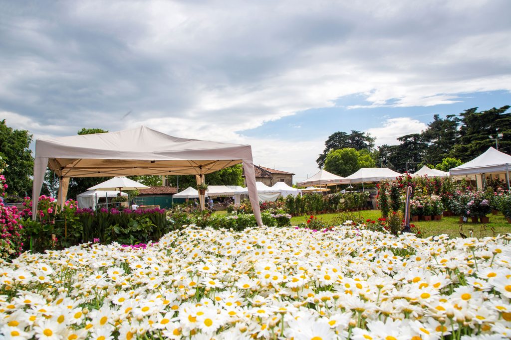 Franciacorta in fiore… e dintorni