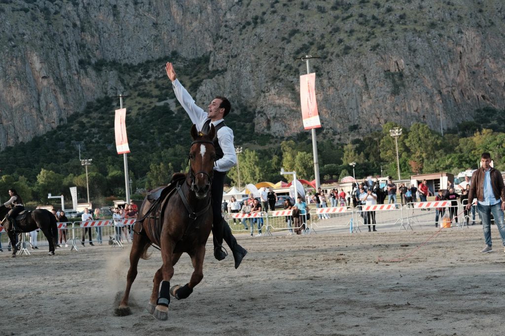 Numeri da record per la 4° edizione di Fiera Mediterranea del Cavallo in Sicilia