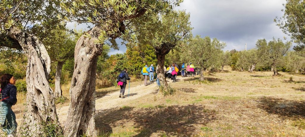 Umbria, passeggiate & buon gusto tra borghi, ulivi e fattorie