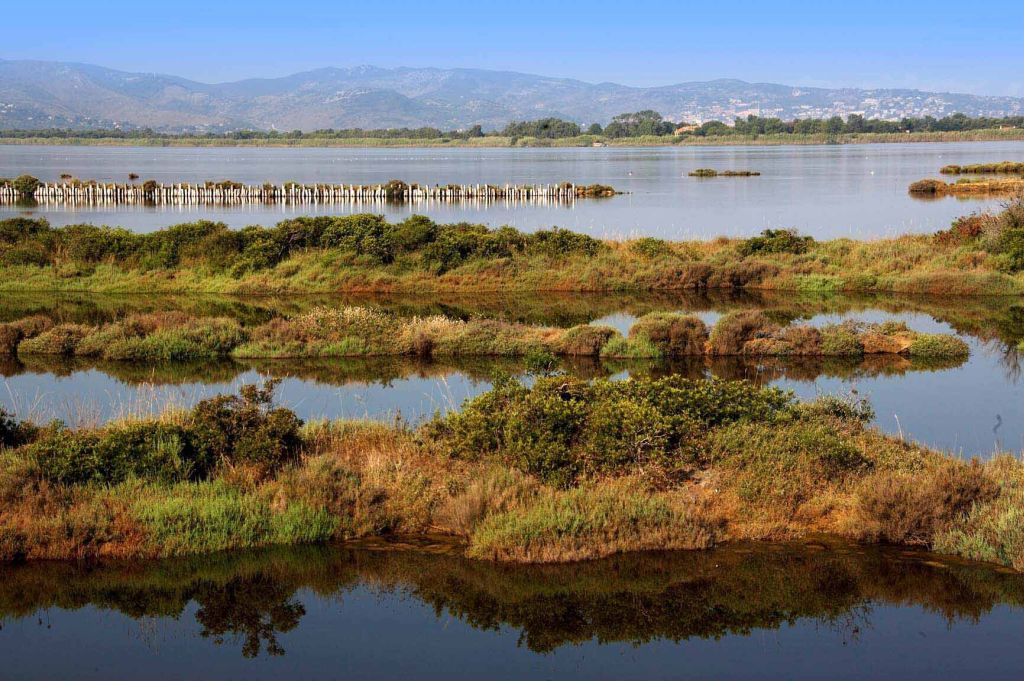 Su Tiqets i biglietti per visitare le Oasi Wwf di Vanzago, Orbetello e le Cesine  