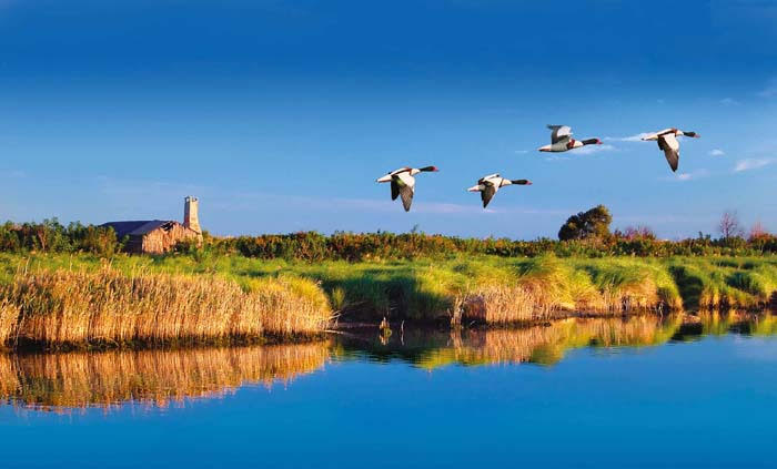 Da Chioggia al Parco del Delta del Po