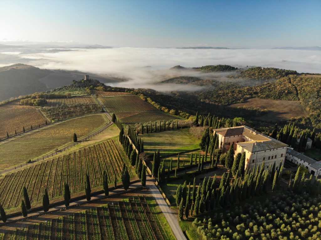 I vini della tenuta Argiano nelle aste di Crurated