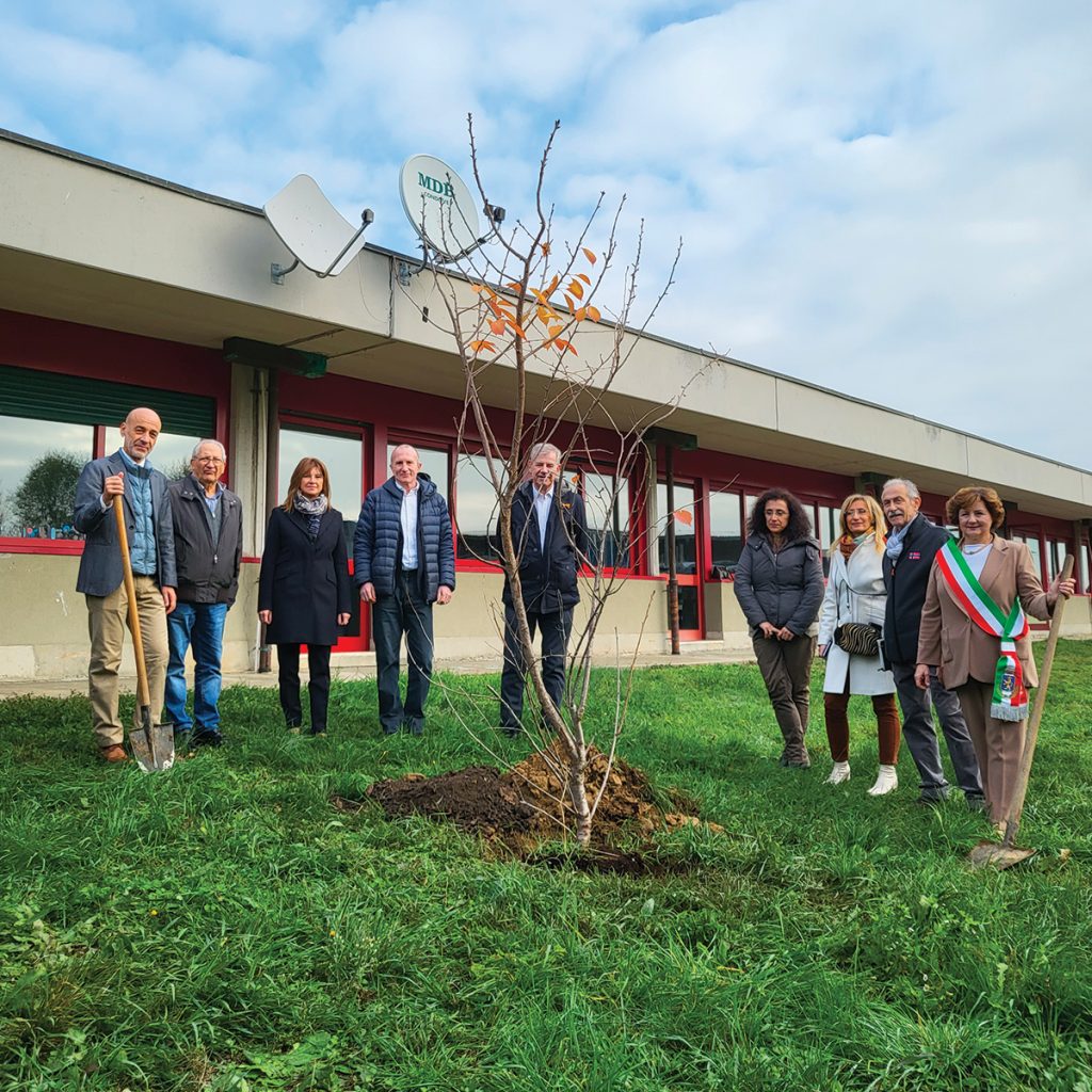 Suzuki Italia celebra la Giornata Nazionale degli Alberi mettendo a dimora ciliegi  Sakura in tutta Italia