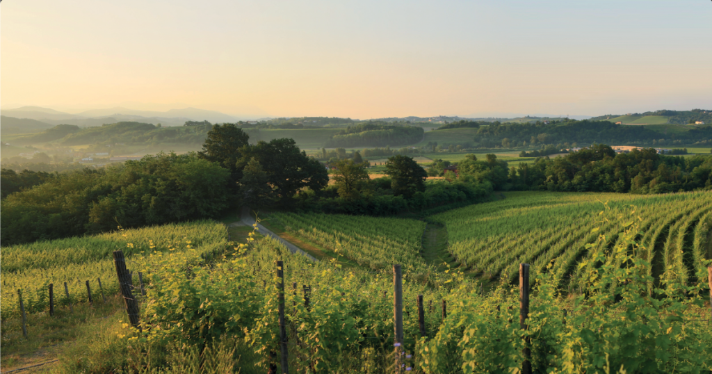 Nasce “Enjoy Prepotto” in provincia di Udine tra le colline del vino Schioppettino