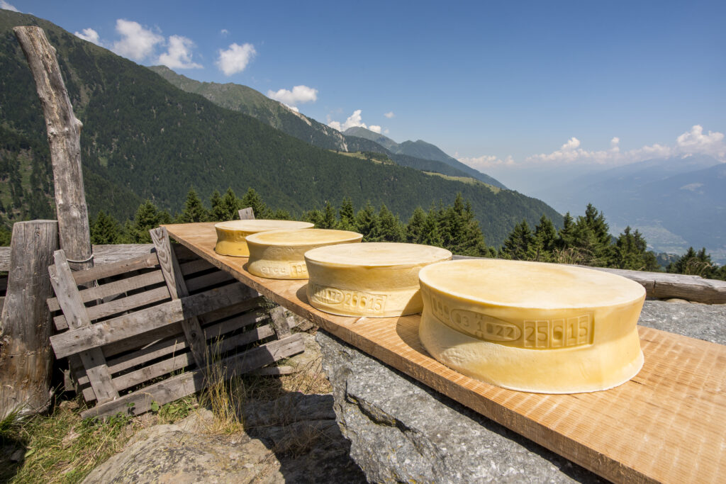 Valtellina Casera e Bitto i formaggi al profumo degli alpeggi sempre più conosciuti ed apprezzati  dai gourmand