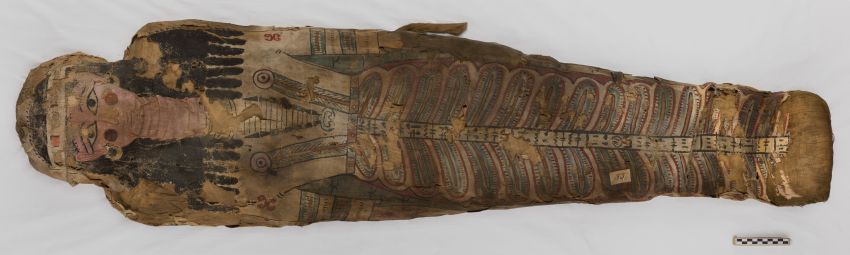 Al via il ciclo di conferenze “Mummies. Il passato svelato” al Museo Civico Archeologico, Bologna