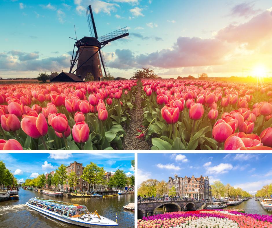 Crociera in Olanda dove sbocciano i tulipani