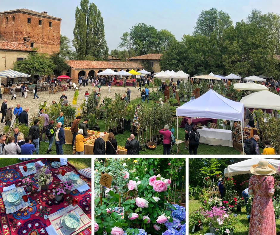 Castello di Paderna (PC) dove a Maggio fioriscono le rose