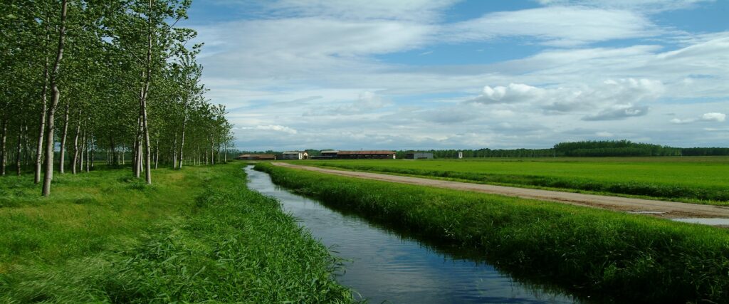 Per “Vapore d’Estate” a Milano Fondazione Patrimonio Ca’ Granda illustra l’agricoltura