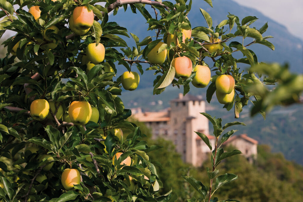 Pomaria, la festa per la raccolta delle mele a Cles tra le eccellenze enogastronomiche del territorio trentino