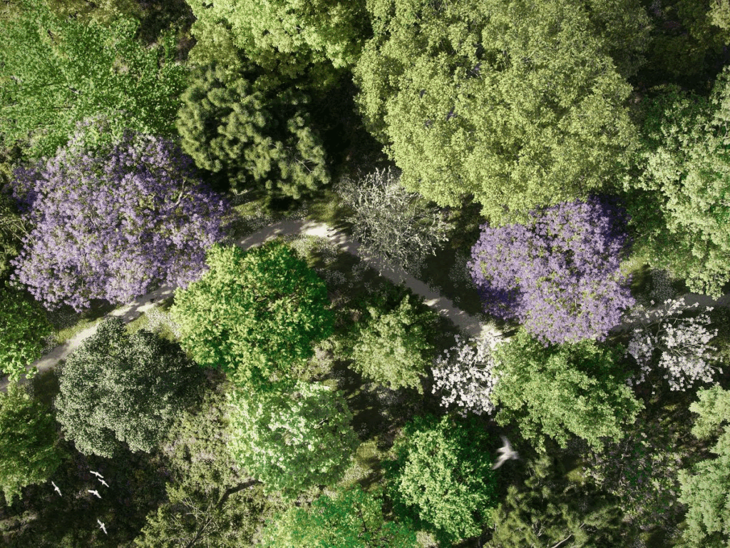 Associazione Arte Continua a Prato per un polmone verde ed ecologico con “Arte per la Riforestazione”