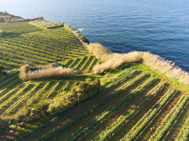A Tenuta Capofaro, Isola di Salina di Tasca d’Almerita, il titolo: “The Most Original Wine List in Europe”