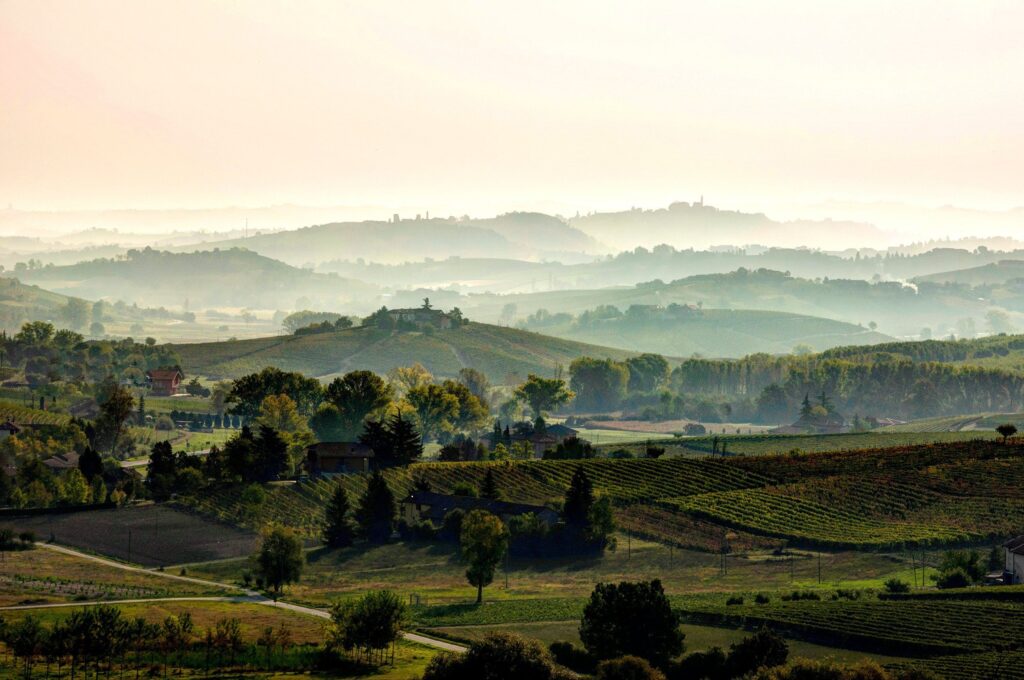 Il Consorzio Barbera d’Asti e Vini del Monferrato celebra i grandi vini, le carni e gli oli del territorio