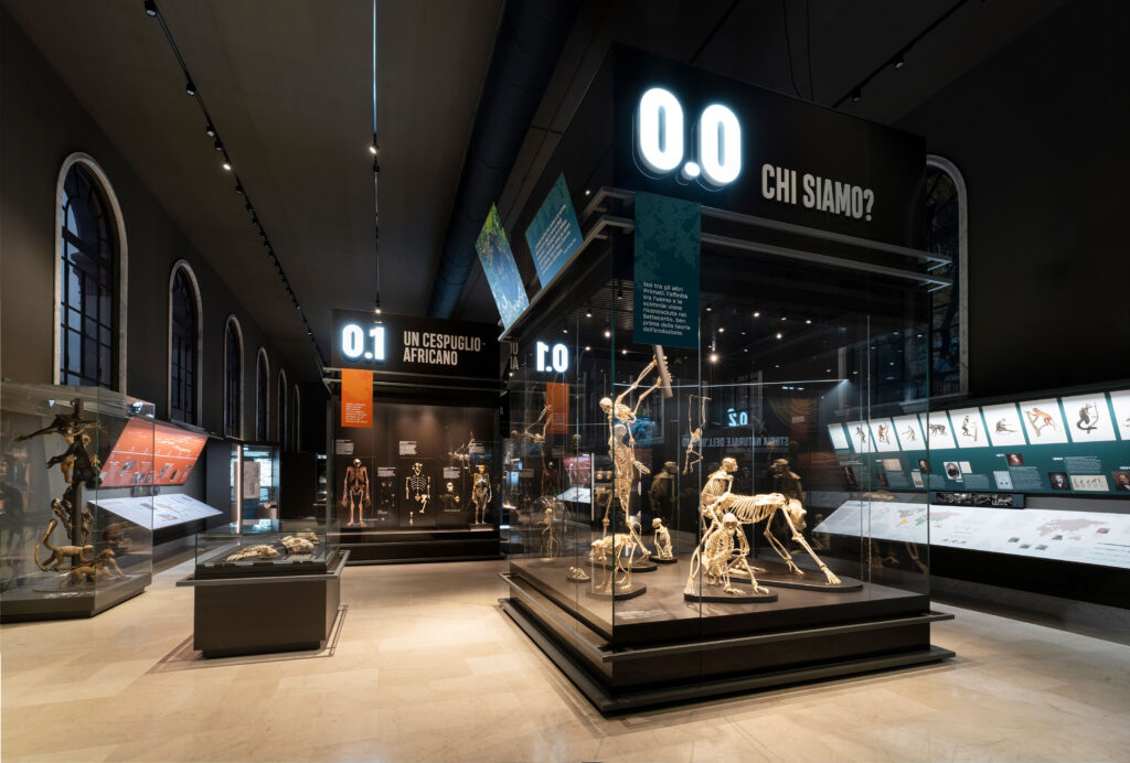 Museo di Storia Naturale Milano: la nuova esposizione sulla storia dell’evoluzione umana firmata M+S