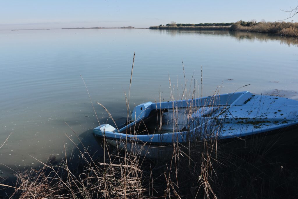 Venice Lagoon Plastic Free ospita il Progetto Ghost Boats 2.0 al Fondaco dei Tedeschi
