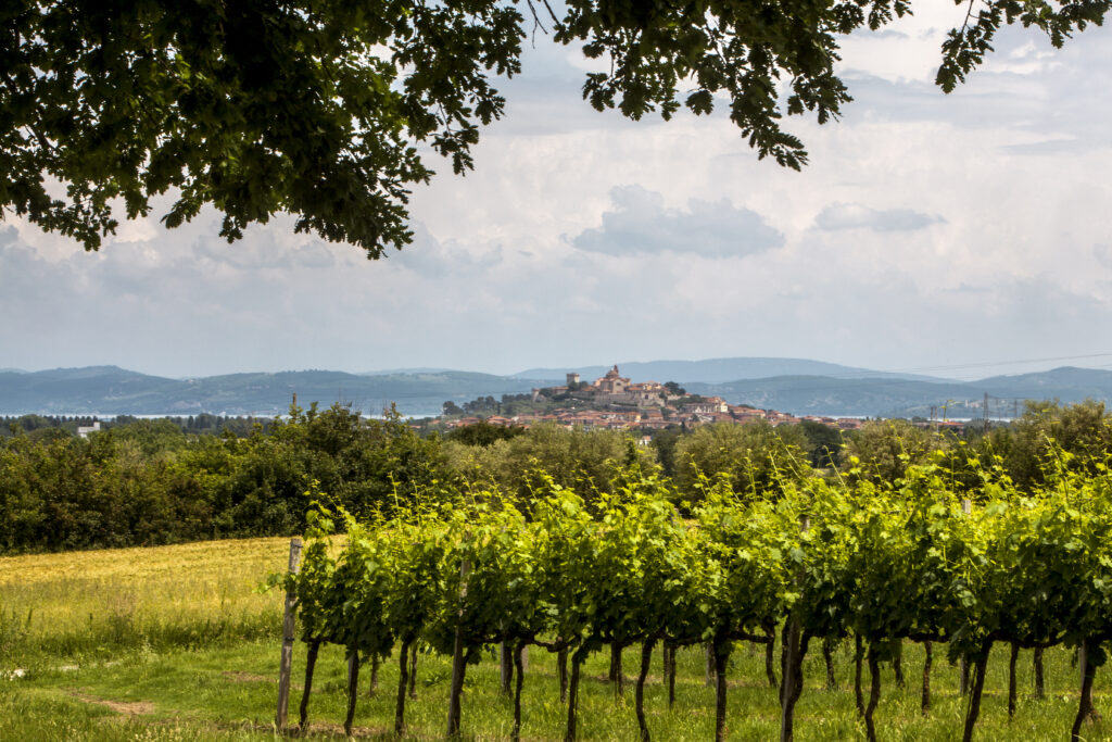 Sostenibilità, biodiversità e tutela del paesaggio nei vini dell’Umbria Top Wines alla Slow Wine Fair  di Bologna