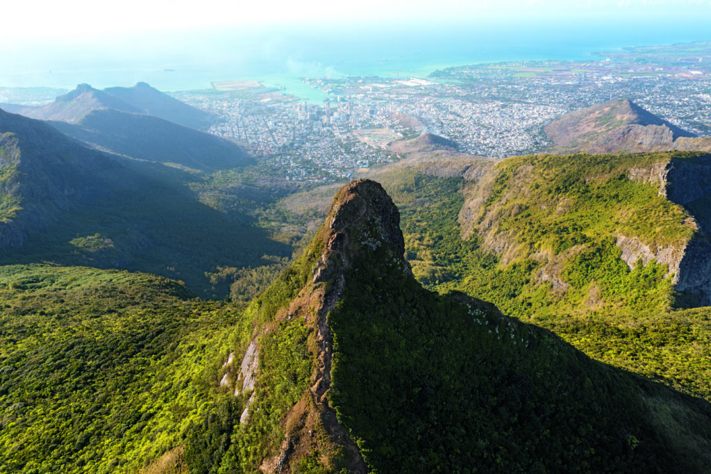 Mauritius: oltre il mare, un viaggio tra palme, fiori, alberi secolari e specie protette