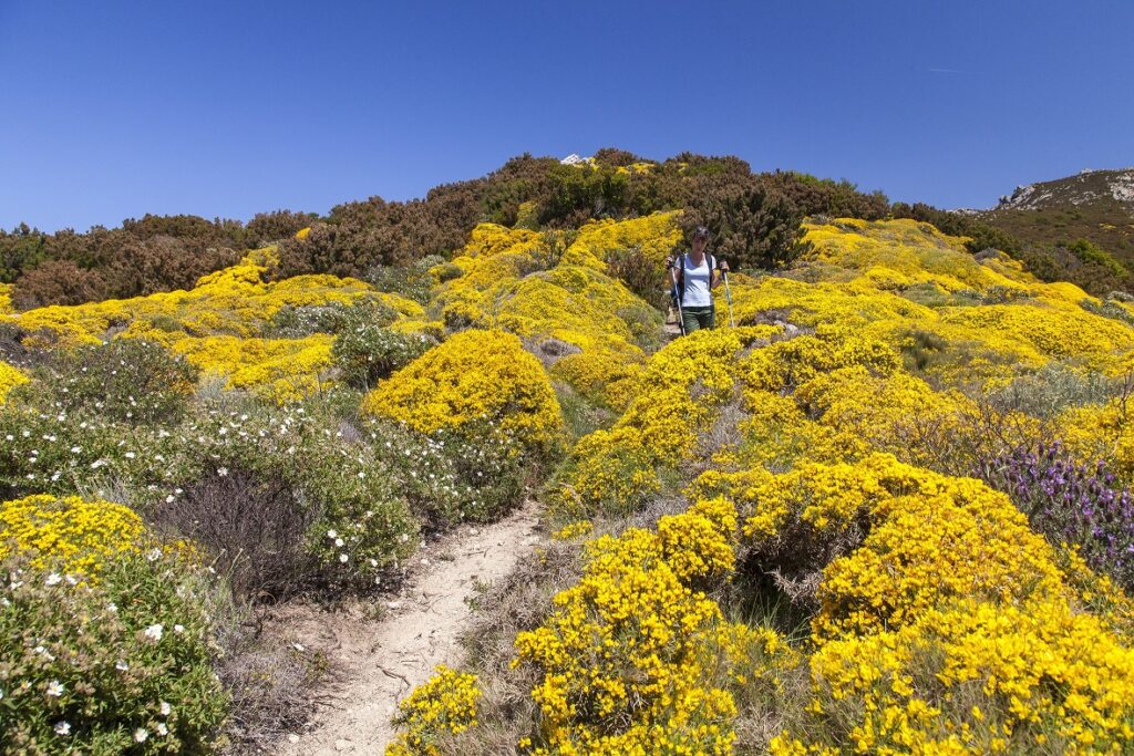 Pasqua all’Isola d’Elba tra natura, storia e profumi mediterranei a passo di trekking