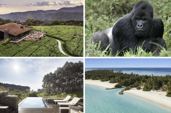 ROAR AFRICA e One&Only Resorts lanciano “The Journey Beyond”