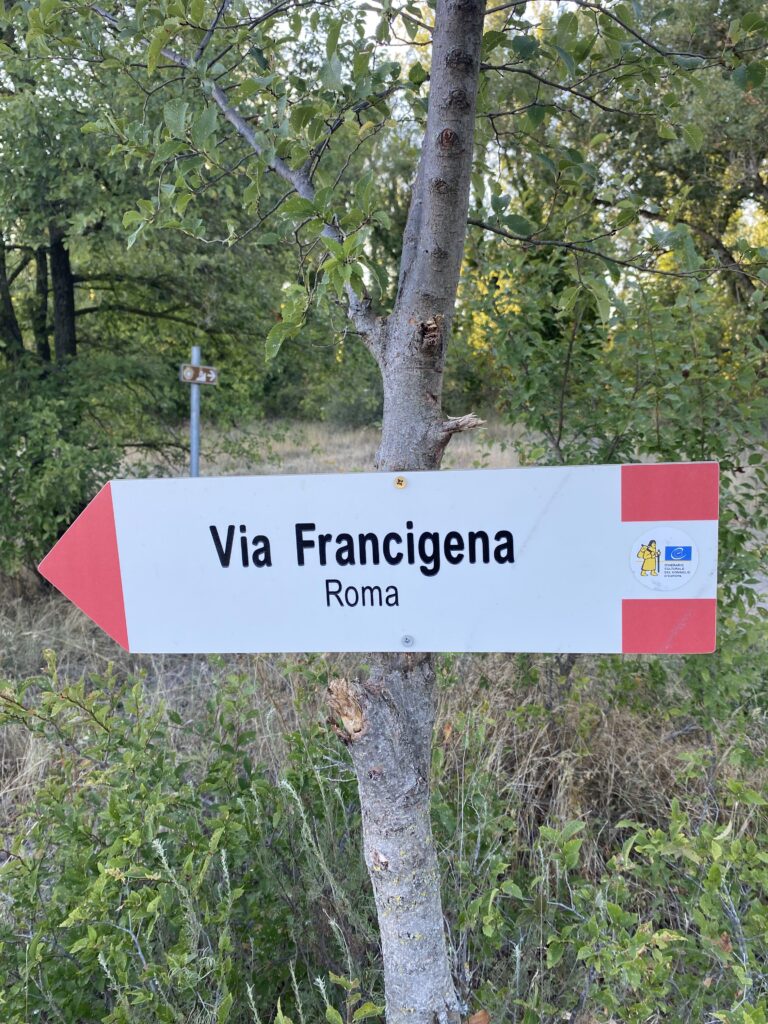 Al Francigena Fidenza Festival con Jacopo Veneziani  un viaggio nel Grand Tour europeo della cultura