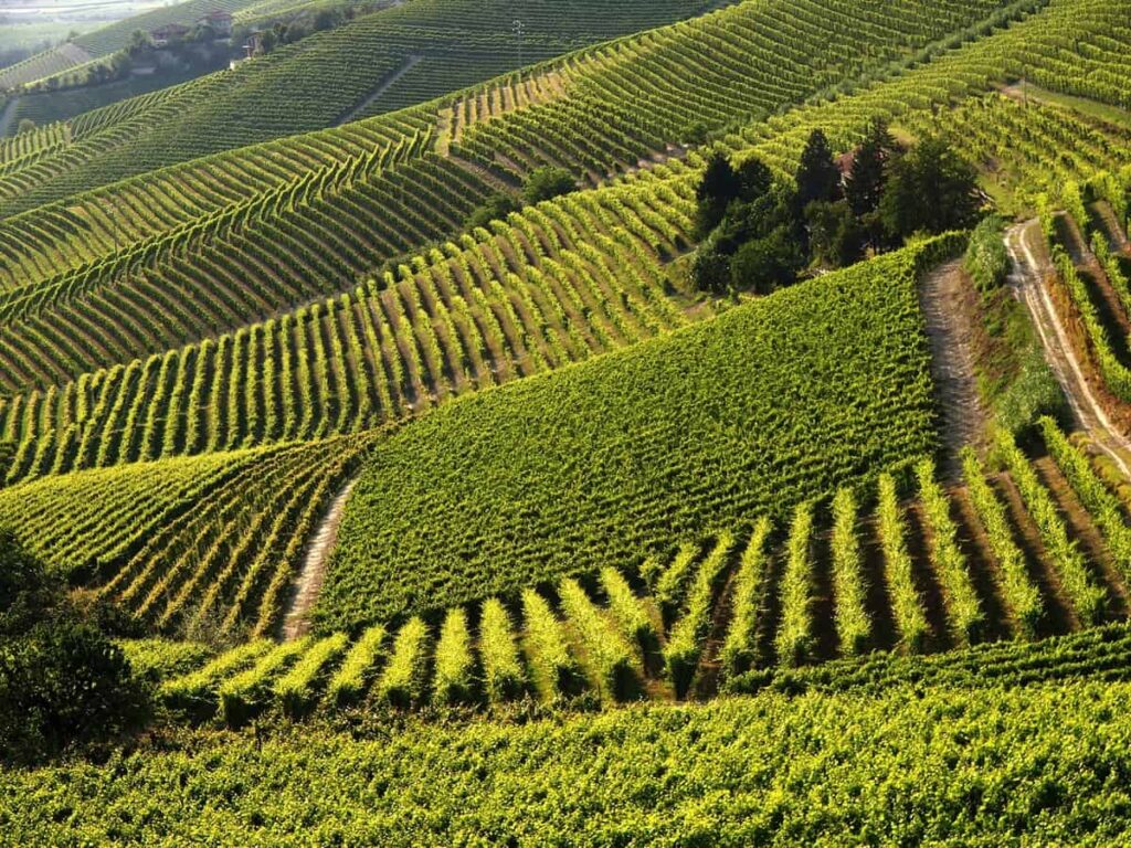 Consorzio Barbera D’Asti e Vini del Monferrato, con il mese di aprile apre un ricco calendario di eventi e iniziative